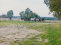 batchpic0071